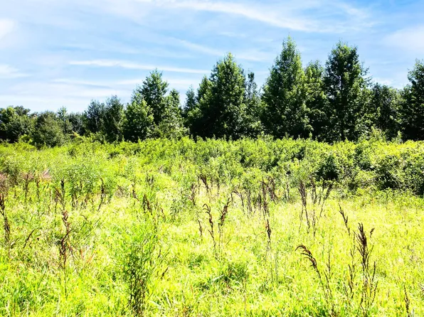 32 Mill Creek Dr, Ward, AR 72176