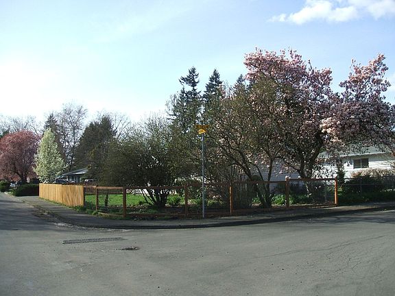 View west