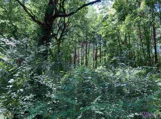 38415 Nan Wesley Rd LOT B, Denham Springs, LA 70706