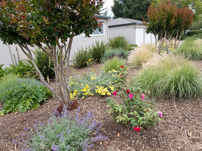 2203 Mesquite Dr — Photo 1