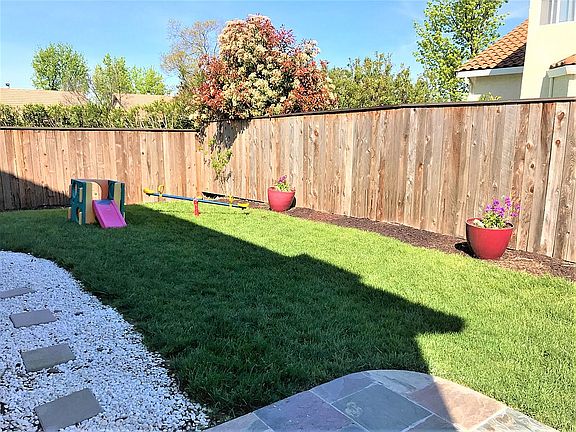 Back yard