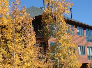 434 Salt Lick Cir #434, Silverthonre, CO 80498