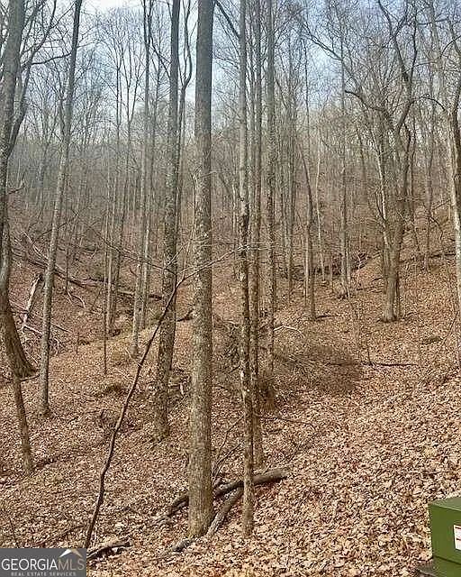 649 Woodland Trce photo 1