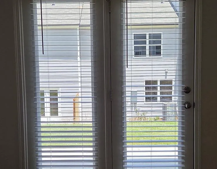 303 Winton Way — Photo 9