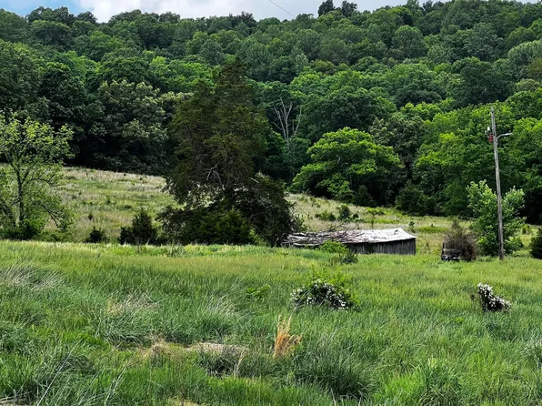 0 Fisher Ridge Rd Tract 4, Horse Cave, KY 42749