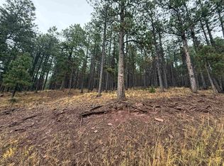 86 Mammoth Mountain Rd, Angel Fire, NM 87710