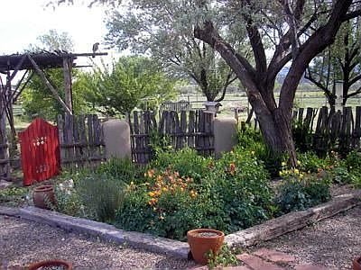Beautiful garden with drip irrigation system