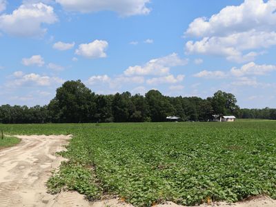 1 Holly Grove Rd, Benson, NC, 27504