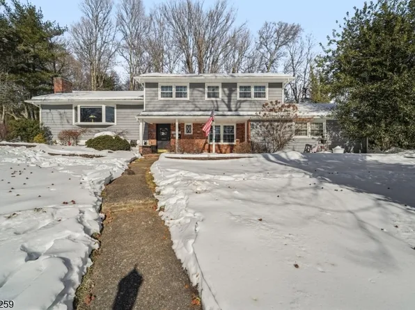 6 Browning Ct, Roseland Boro, NJ 07068