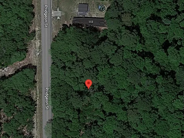 116 Pridgeon St, Interlachen, FL 32148