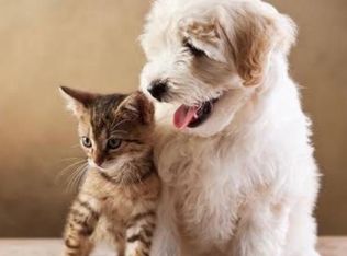 8034 Crockett Blvd #B, Los Angeles, CA 90001