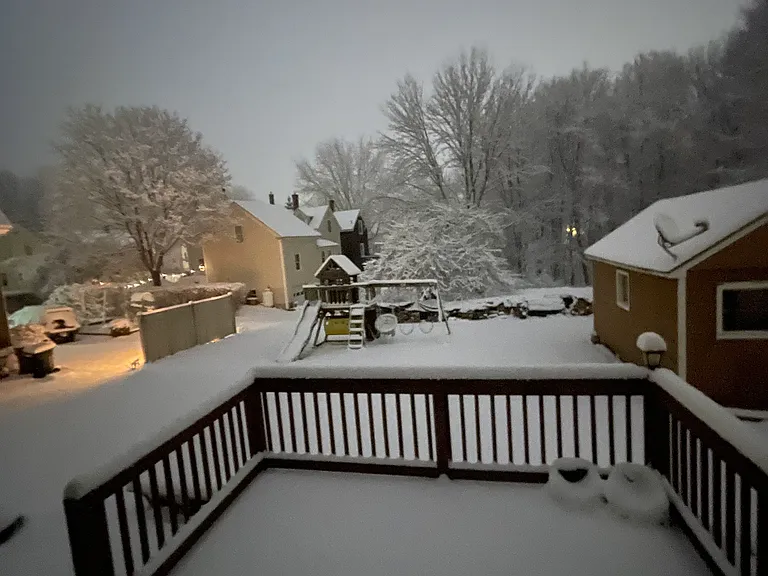 Backyard view