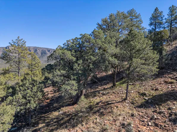 LOT 163 N Portal Dr, Pine, AZ 85544