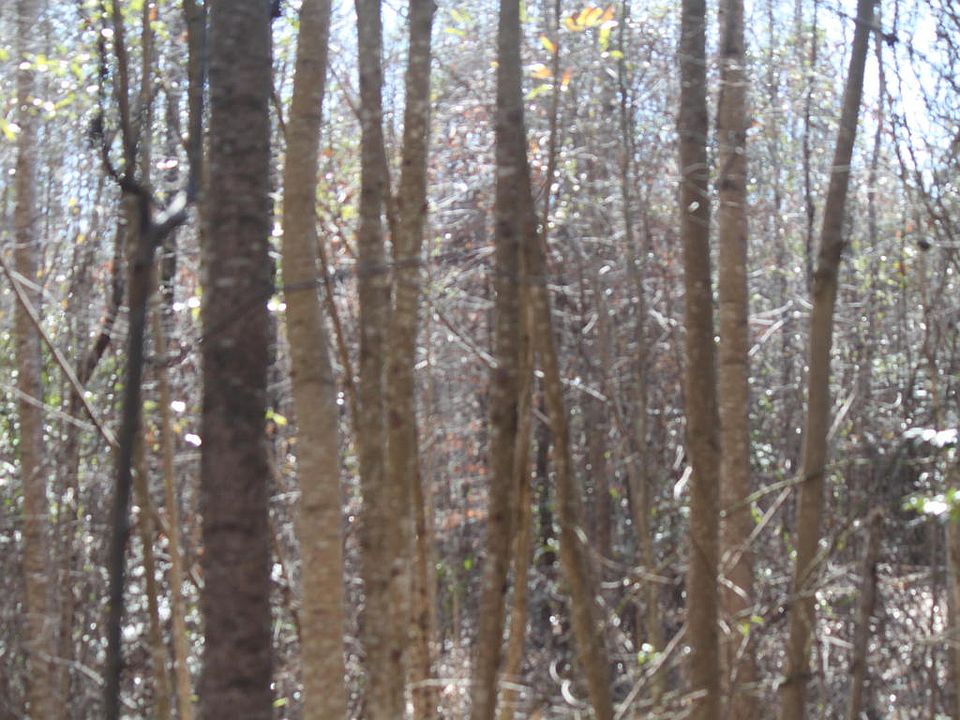 2nd image of 318 County Road 371
