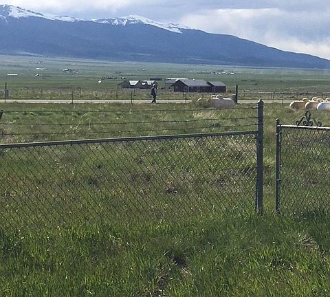 5th image of 57620 State Highway 69