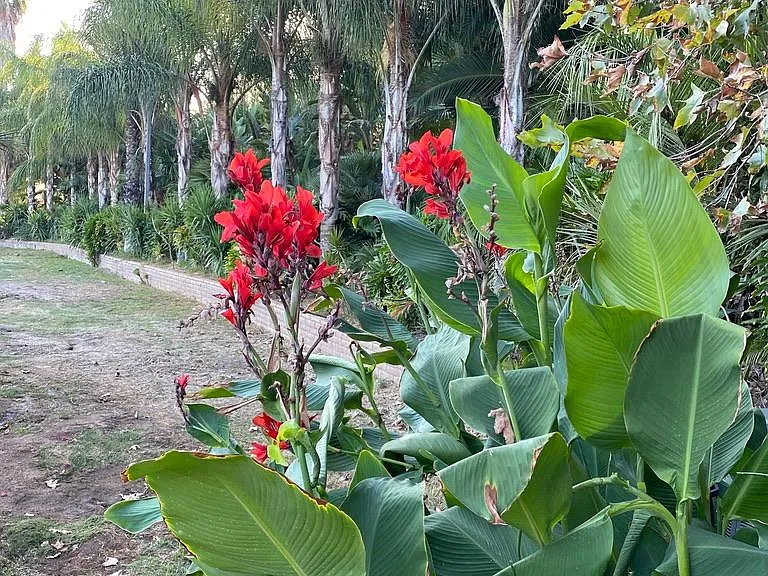 entrance to guest house
