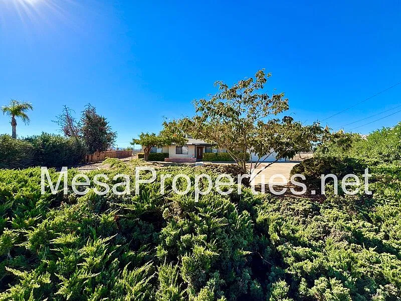 3 bed, 2.0 bath, 1526 sqft, $2,150 — Photo 3