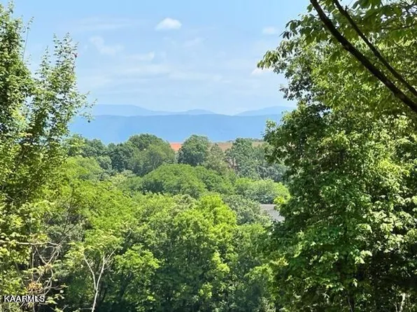 3127 Big Springs Rd, Friendsville, TN 37737