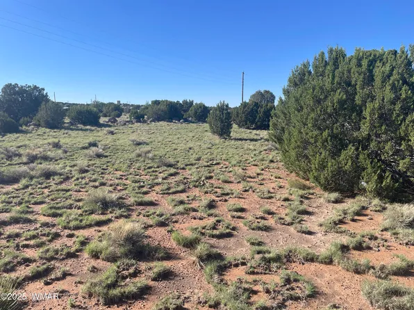 37 Frontage Rd, Concho, AZ 85924