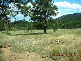 2nd image of 186 Saddlestring Rd