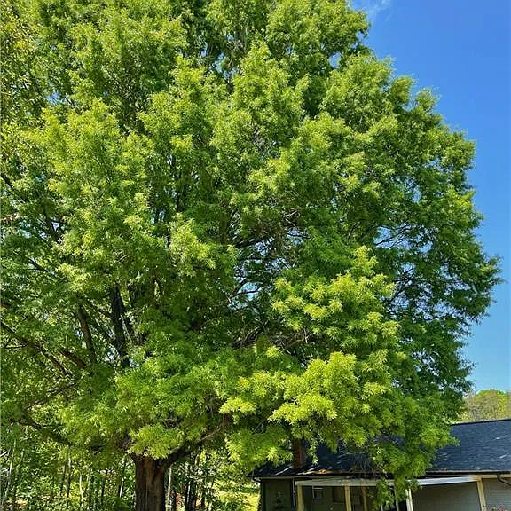 218 Pilotview Loop — Photo 5