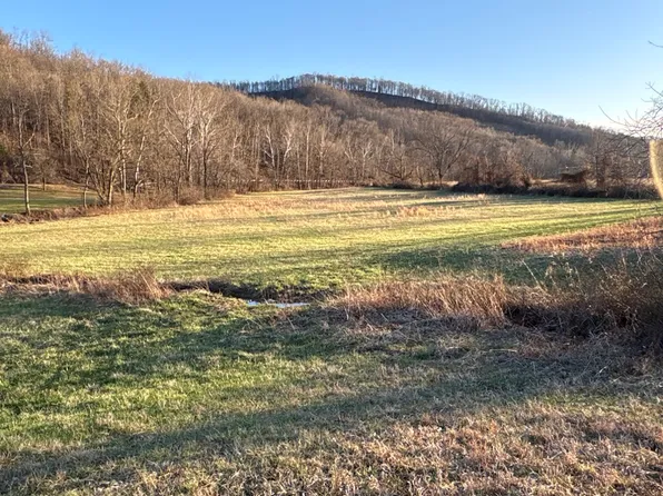 2455 Millers Run Back Run Rd, Lucasville, OH 45648