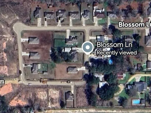 16285 Blossom Ln, Tickfaw, LA 70466