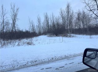 11154 Hiller Rd, Akron, NY 14001