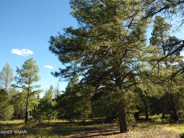 8 County Road 2158, Nutrioso, AZ 85932