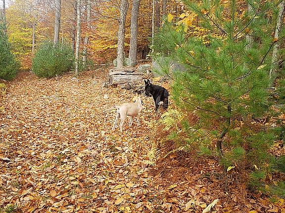 Your own trail to go hiking!