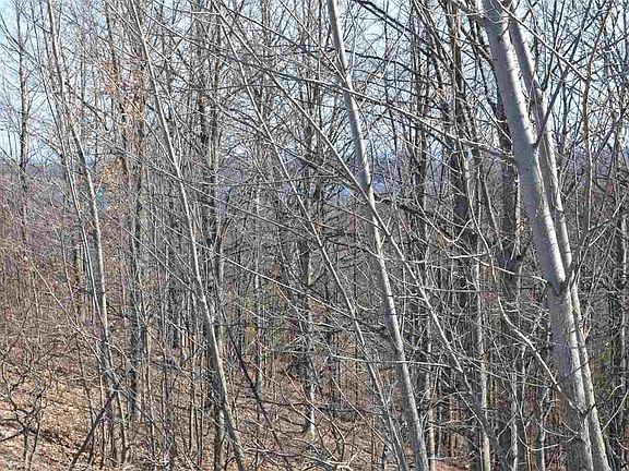 5th image of LOT 21 N Brencris Ln #1885860