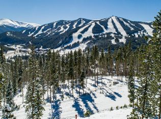 24 Cub Creek Way LOT 1, Winter Park, CO 80482