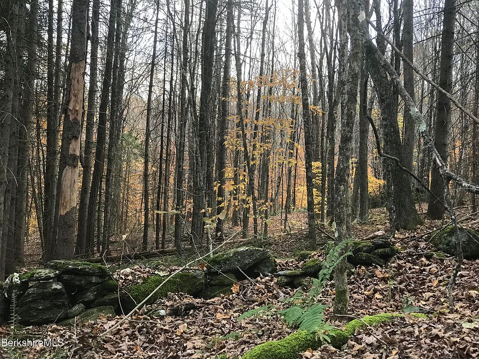 2nd image of Rosenberg Rd Lot 39