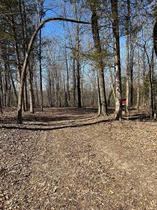 303 Caney Springs Church Rd, Melbourne, AR, 72556