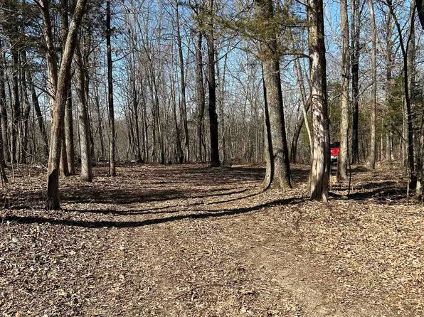 303 Caney Springs Church Rd, Melbourne, AR 72556