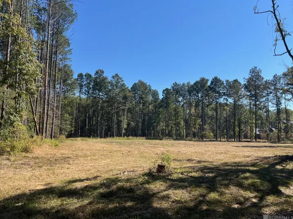 50 Burkette Ln, Denham Springs, LA 70706