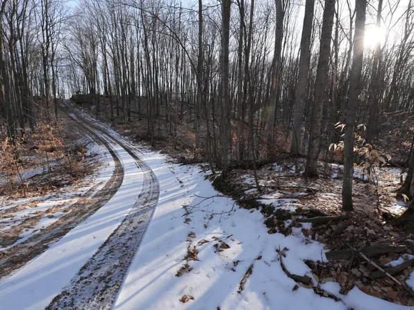 10 Timber Rd, East Jordan, MI 49727