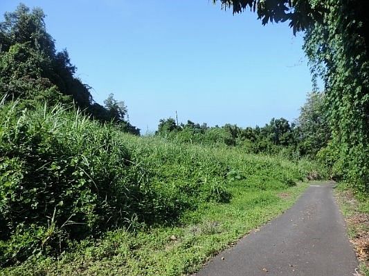3rd image of 87-3008 Mamalahoa Hwy Lot 1