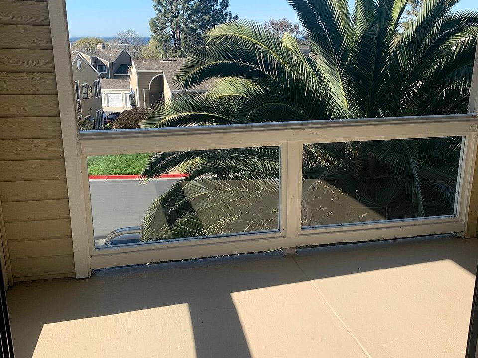 Upstairs Patio- Beautiful Palm Tree