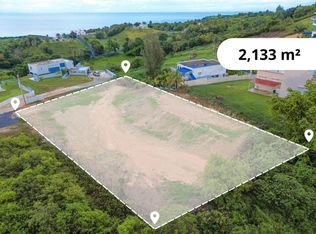 Bo, Guaynabo, PR 00966