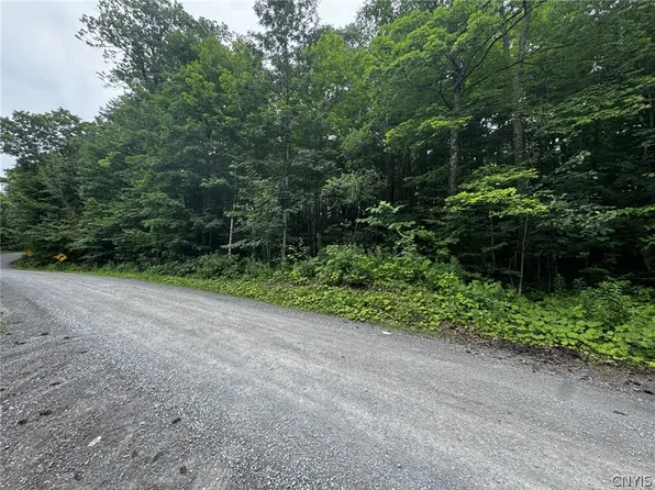 0 State Rd #11, Carthage, NY 13619