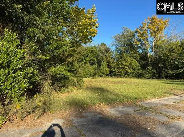 0 Charleston Hwy, Bowman, SC 29018
