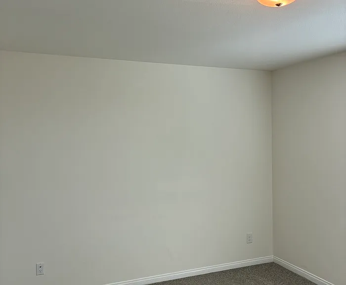8074 Kings Guard St — Photo 13