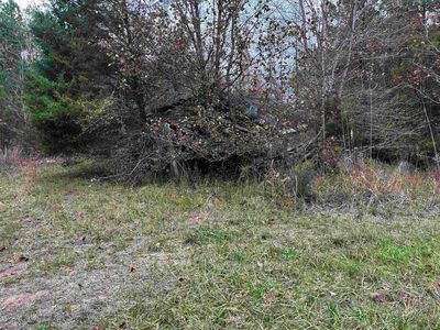 900 Masseyville Rd, Bethel Springs, TN, 38315