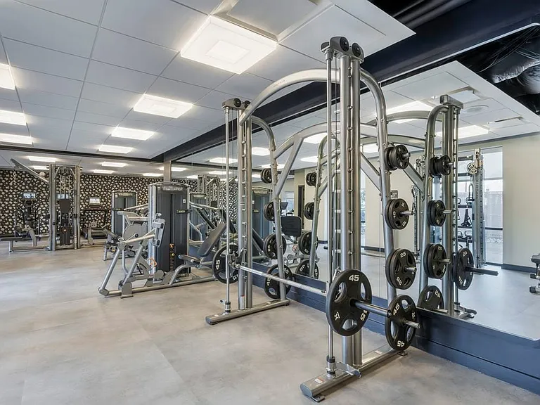 Fitness center with strength equipment
