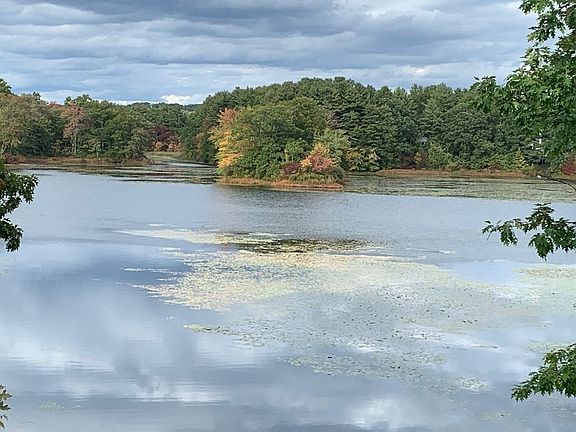 3rd image of 56 Lakeside Dr