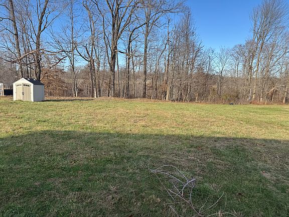 View from the back porch into the woods and cattle pastures.