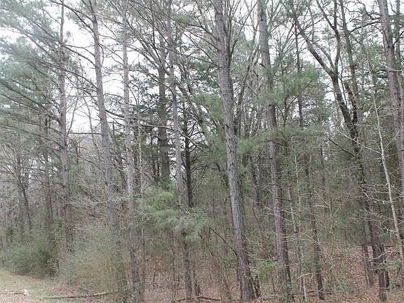 2nd image of Fm 2796 N & S