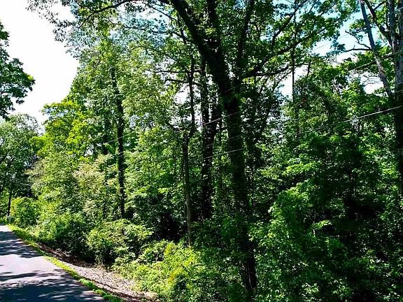 2nd image of 45 Cliffwood Dr Lot 45