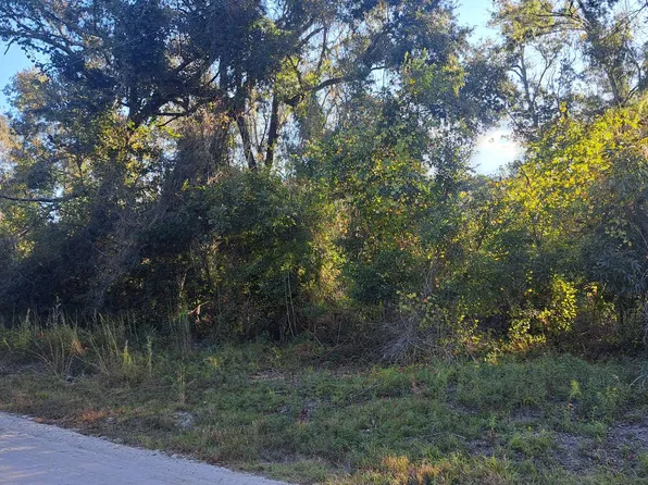 Tbd Se Oak Tree Rd, Branford, FL 32008